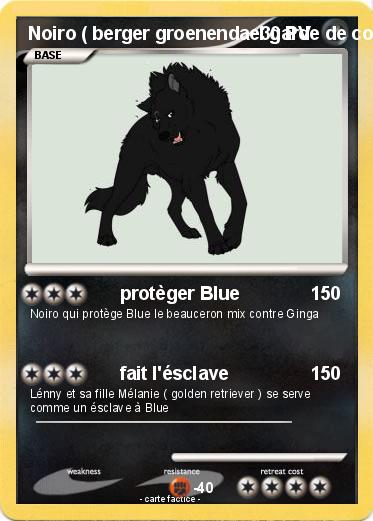 Pokemon Noiro ( berger groenendael garde de corps)