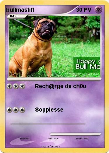 Pokemon bullmastiff