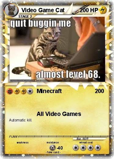 Pokemon Video Game Cat