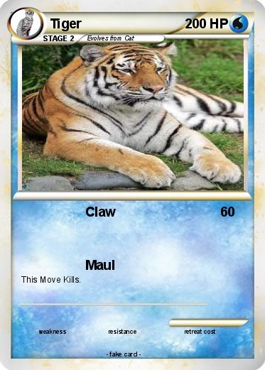 Pokemon Tiger