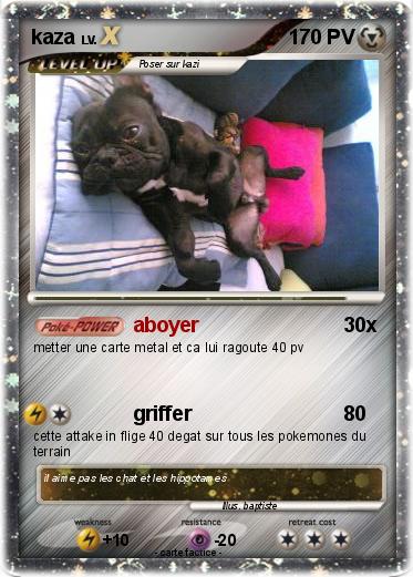 Pokemon kaza