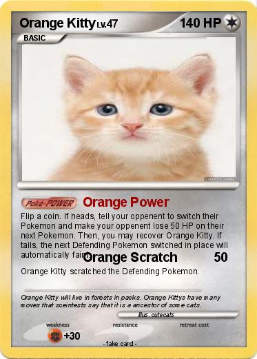 Pokemon Orange Kitty