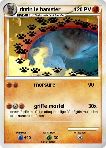 Pokemon tintin le hamster