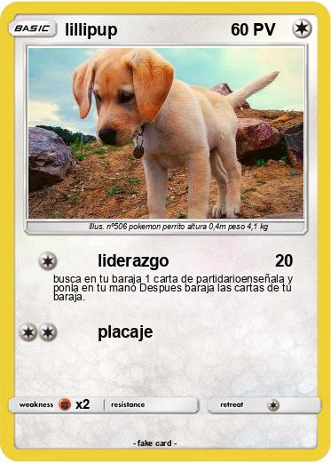 Pokemon lillipup