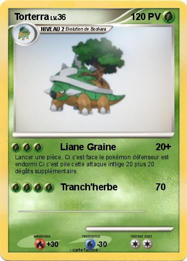 Pokemon Torterra