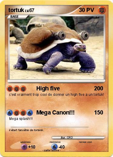 Pokemon tortuk