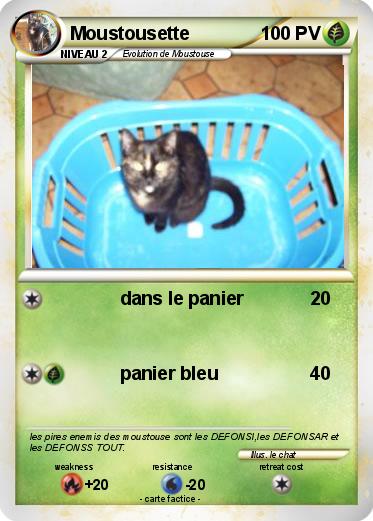 Pokemon Moustousette