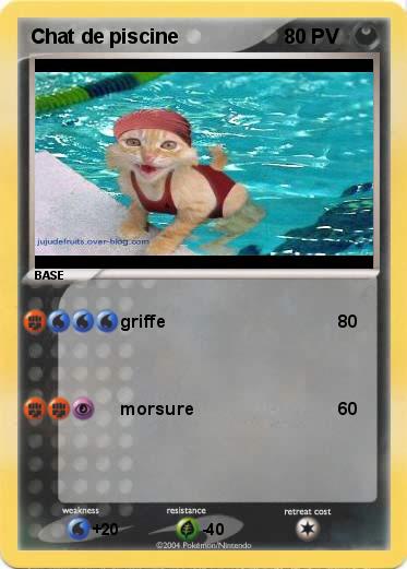 Pokemon Chat de piscine
