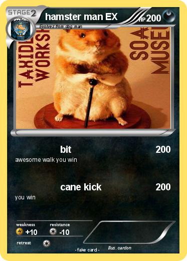 Pokemon hamster man EX