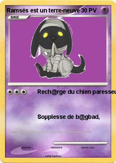 Pokemon Ramsès est un terre-neuve