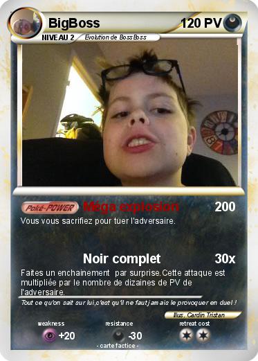 Pokemon BigBoss