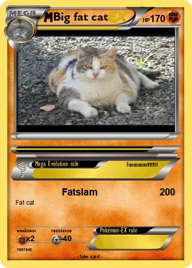 Pokemon Big fat cat