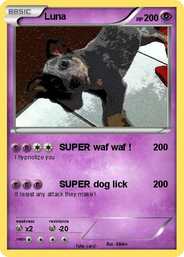 Pokemon Luna