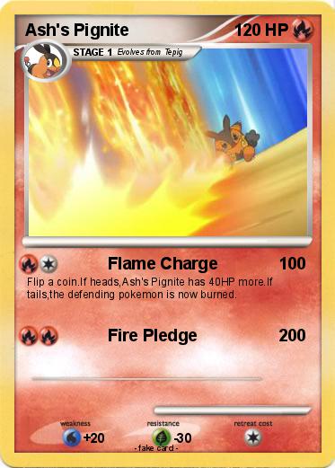 Pokemon Ash's Pignite
