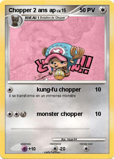 Pokemon Chopper 2 ans ap