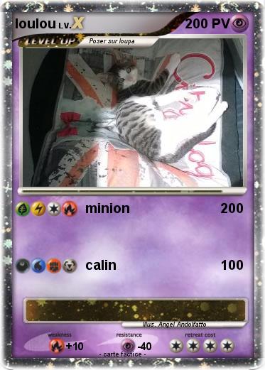 Pokemon loulou
