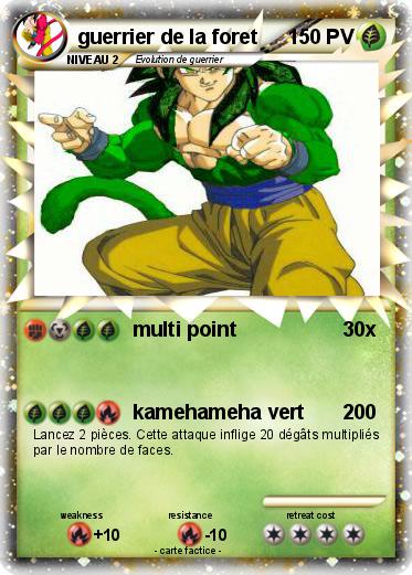 Pokemon guerrier de la foret