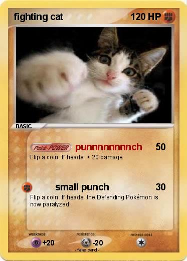 Pokemon fighting cat