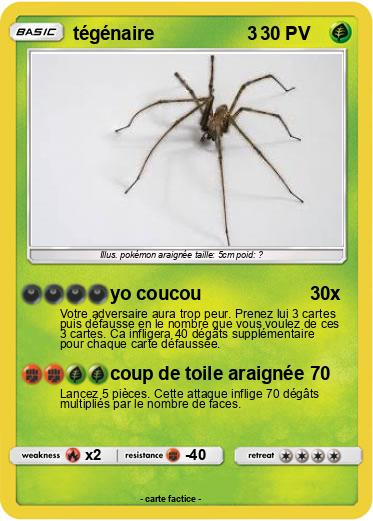 Pokemon tégénaire                  3