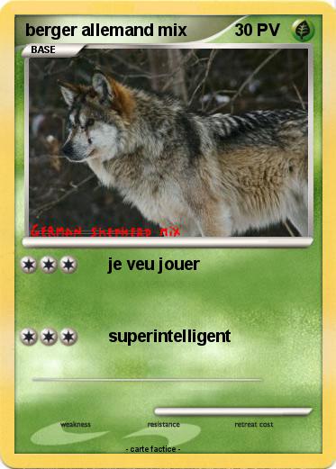 Pokemon berger allemand mix