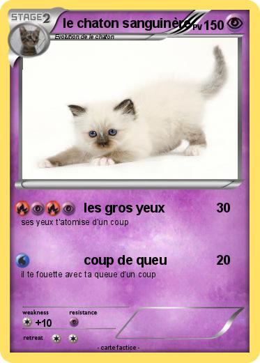 Pokemon le chaton sanguinère