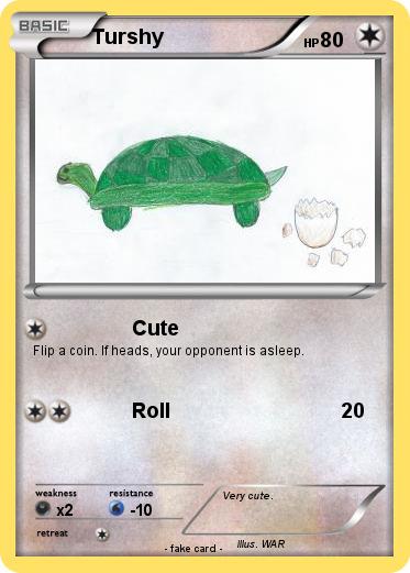 Pokemon Turshy