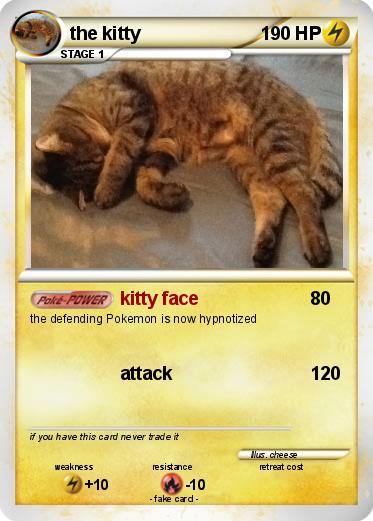 Pokemon the kitty