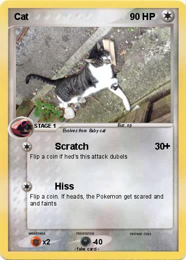 Pokemon Cat