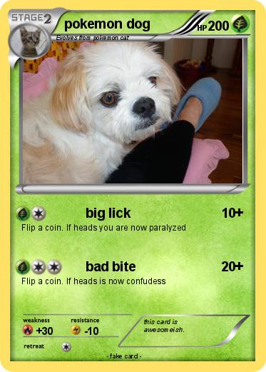 Pokemon pokemon dog