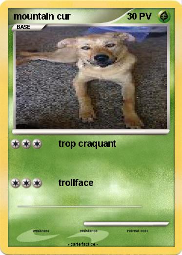 Pokemon mountain cur