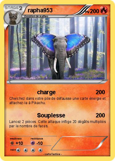 Pokemon rapha953