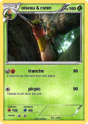 Pokemon oiseau & ronin