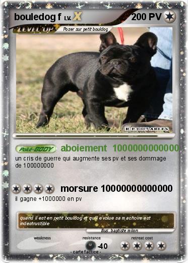 Pokemon bouledog f