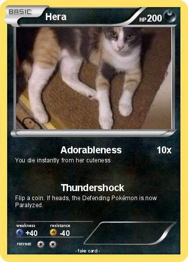 Pokemon Hera