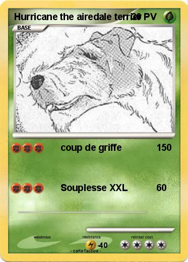Pokemon Hurricane the airedale terrier