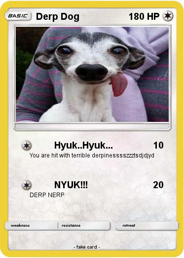 Pokemon Derp Dog