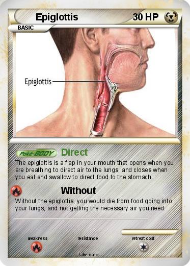 Pokemon Epiglottis