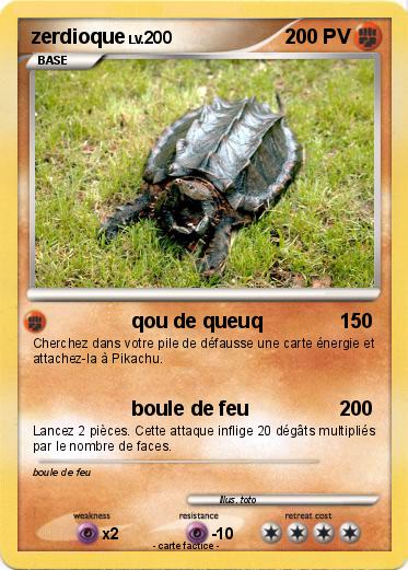 Pokemon zerdioque