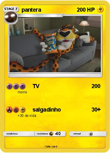 Pokemon pantera