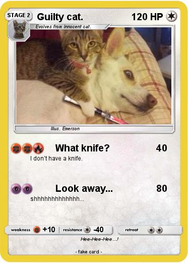 Pokemon Guilty cat.