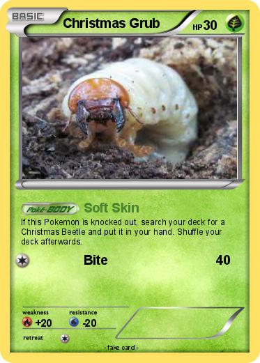 Pokemon Christmas Grub