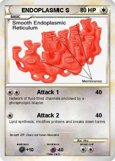 Pokemon ENDOPLASMIC S