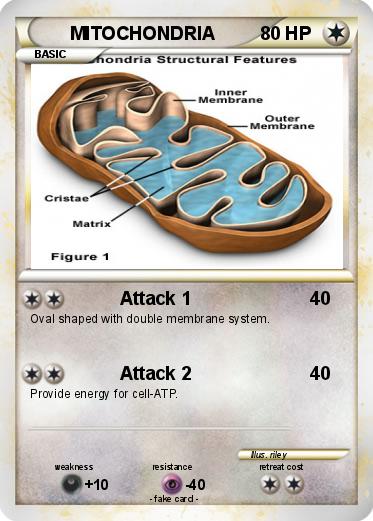 Pokemon MITOCHONDRIA