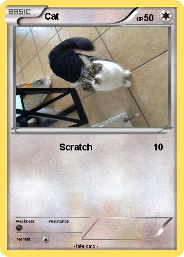 Pokemon Cat