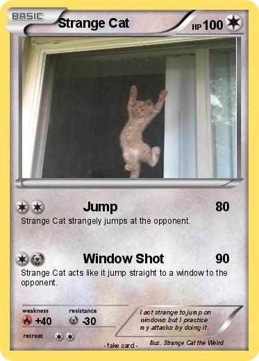 Pokemon Strange Cat
