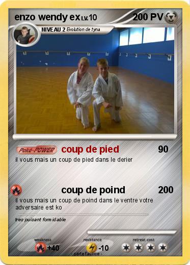 Pokemon enzo wendy ex