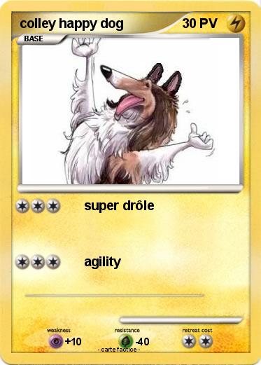 Pokemon colley happy dog