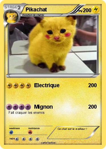 Pokemon Pikachat