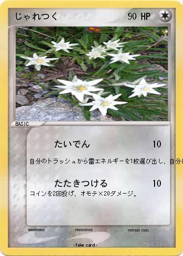 Pokemon じゃれつく