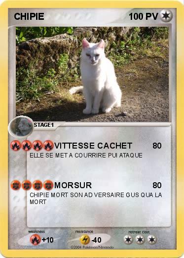 Pokemon CHIPIE